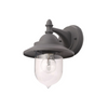 ZN-31757-ANTH-1.png