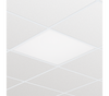 Philips Ledinaire 600x600 LED Panel Cool White - 919013004218