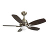 Fantasia Phoenix 42inch. Ceiling Fan with Dark Oak Blade & Light - Anitque Brass - 114062