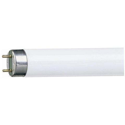 Fluorescent Tubes