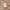100mm 4 Gravity Grille - White - 1162W, Image 2 of 2