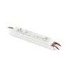 EN-ANTEMST1.png
