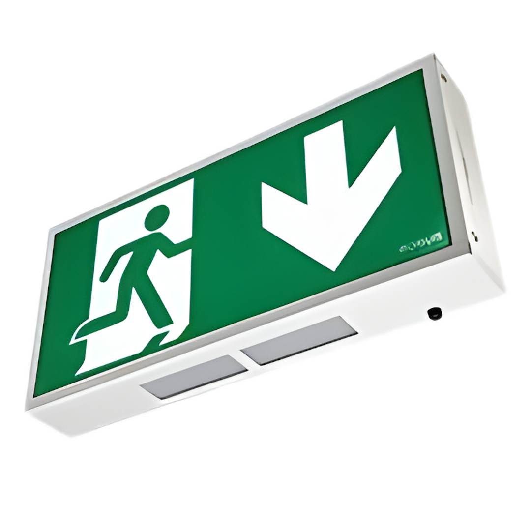 Robus 4W Exit Box LifePo4 C/W Down Legend - R8EMLP4D-01 ...