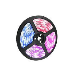 ENERJ Smart RGB+CCT LED Strip Kit, 5m - SHA5213X