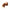 Forum Leto Adjustable Single GU10 Spotlight IP44 - Copper - ZN-26536-COP, Image 1 of 6