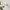 Forum Leto Adjustable Single GU10 Spotlight IP44 - White - ZN-26536-WHT, Image 6 of 6