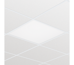 Philips Ledinaire 600x600 LED Panel Cool White - 919013004218
