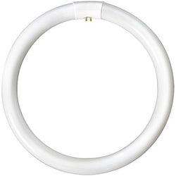 Bell 60w CFL Circular Tube G10q Warm White - BL04193