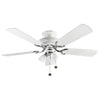 Fantasia Mayfair Combi 42inch. Ceiling Fan with White Blade & Light - White and Stainless Steel - 110009