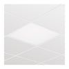 Philips Ledinaire 600x600 LED Panel Cool White - 919913999298