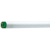 Philips Master 32W 4ft T8 Tube Daylight - 26464040