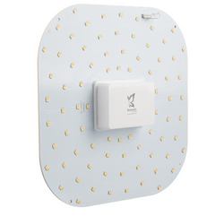 Kosnic 12W DD 4 Pin LED Lamp, CCT Switchable - DD12/4P-SCT