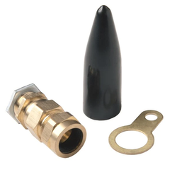 Wiska Cable Gland Economy Non-LSF Outdoor for SWA Brass - CW20SS  (2 Pack)