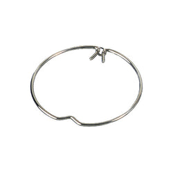 Robus Lamp Retention Spring Clip - TLSC