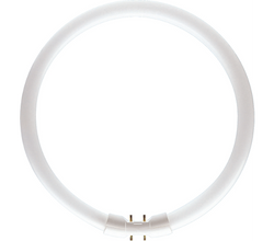 Philips 60W TL5 Circular Tube Halogen 60W E11 - 64261525