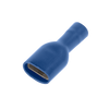 QBFPO63F.png