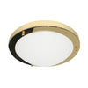 Forum Delphi 12W 180mm LED Bathroom Light 4000K - Brass - SPA-34046-BRS