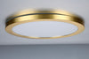 Forum Tauri Brass Magnetic Ring for SPA-35710 - SPA-35721
