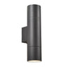 ZN-40001-ANTH.jpg