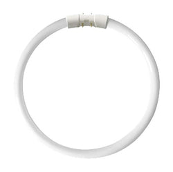 Kosnic 55w CFL T5 Circular Tube 2GX13 Cool White - KFT55STC/4P-840