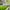 915000131103, Image 2 of 2