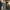 915004499401, Image 4 of 4